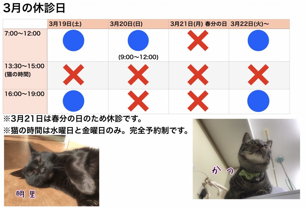 3月休診のお知らせ