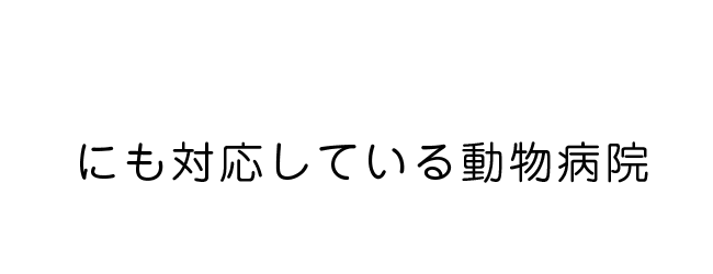 にも対応している動物病院