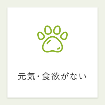 元気・食欲がない