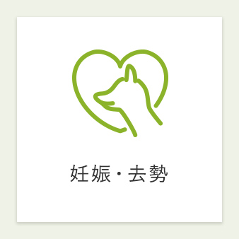 妊娠・去勢