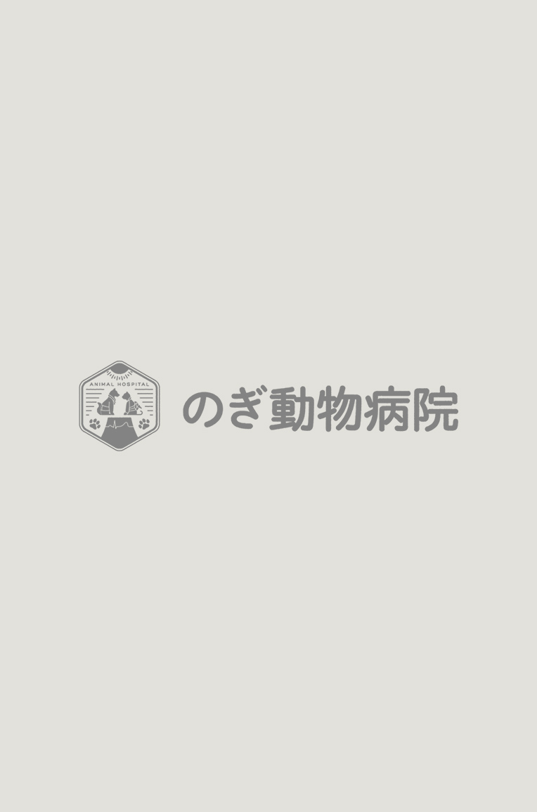 【動物看護師】福地 亜友